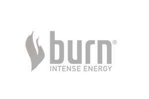 Logo_burn_Virtual_Art_VIRTUAL ART